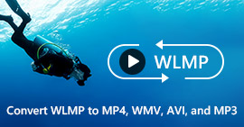 Cómo convertir WLMP