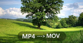 Convierte MP4 a MOV