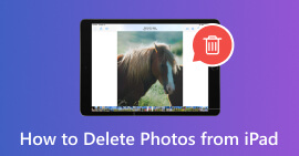 Cómo eliminar fotos del iPad