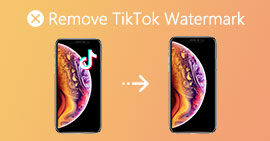 Quitar la marca de agua de TikTok
