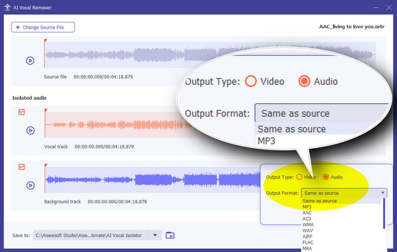 Seleccione el formato de salida y guarde