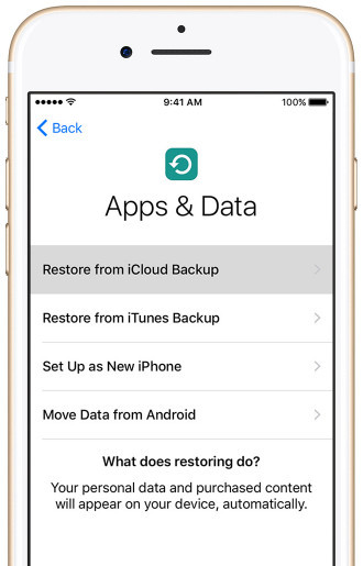 Restaurar desde iCloud Backup