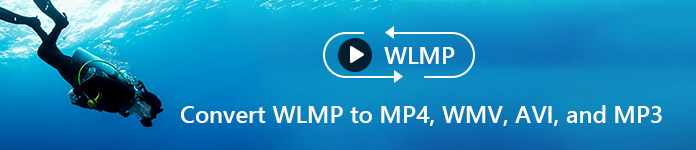 Convierte WLMP a MP4