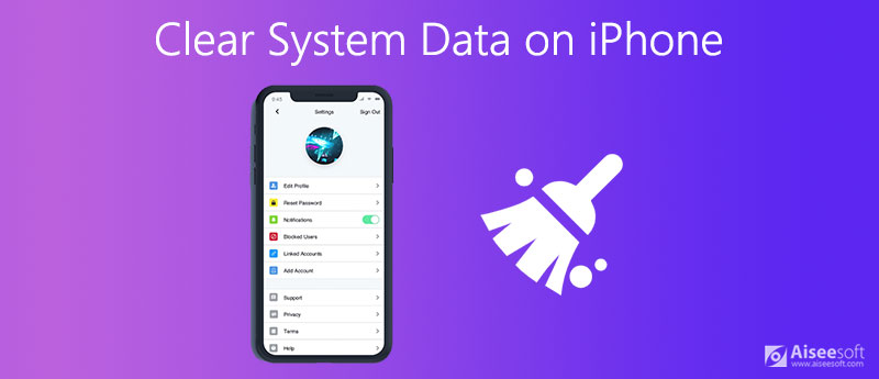 Borrar datos del sistema en iPhone