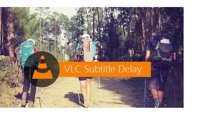 Retraso de subtítulos VLC