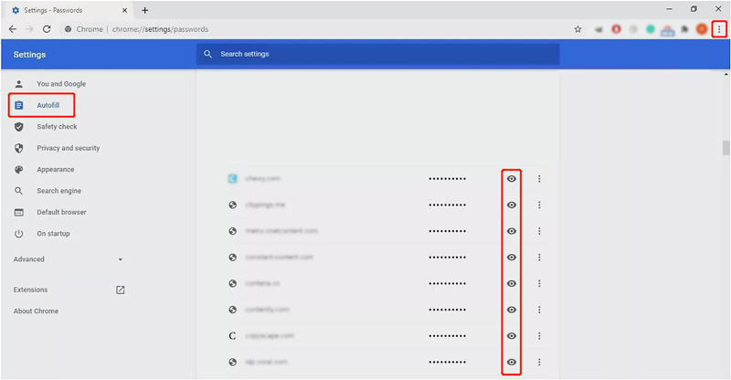 Ver Autocompletar contraseñas Chrome Computer
