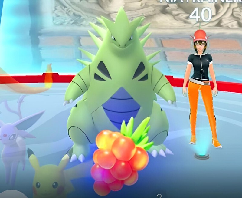 Utilice bayas de frambuesa