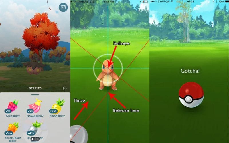 Atrapa al Pokémon
