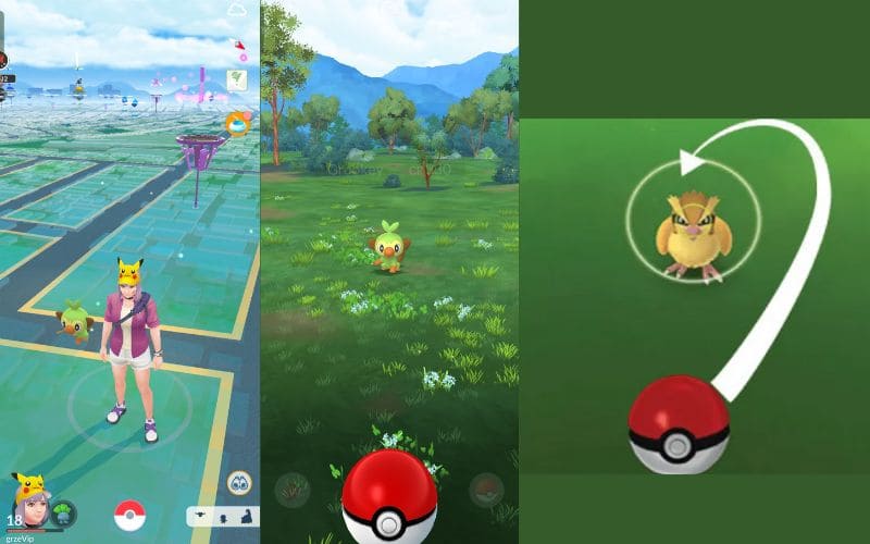 Encuentra un Pokémon