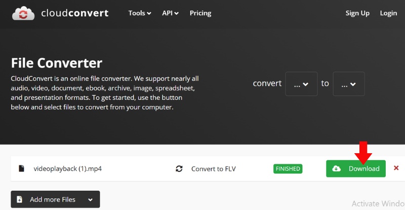 Descargar el vídeo convertido
