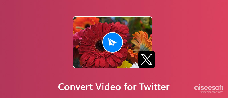 Convertir vídeo para Twitter