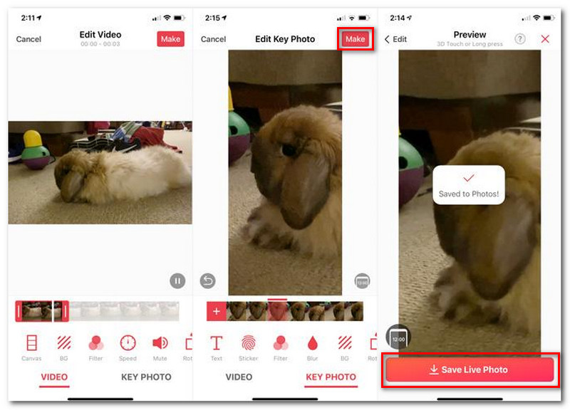 Convertir vídeo a foto en vivo en Live