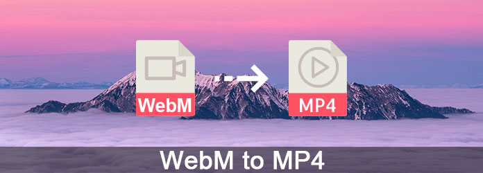 WebM a MP4