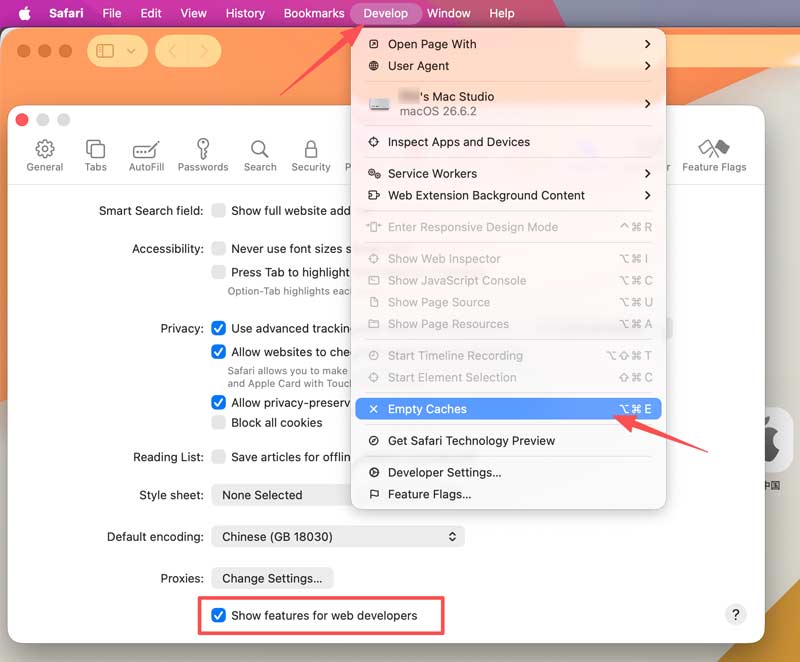 Mac Safari Desarrollar Vaciar caché