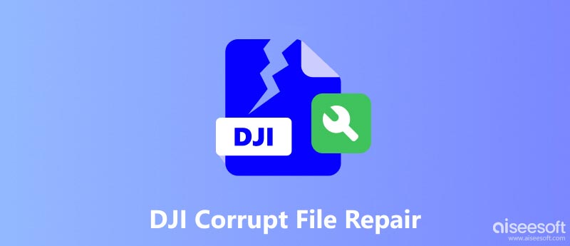 Reparación de archivos corruptos DJI