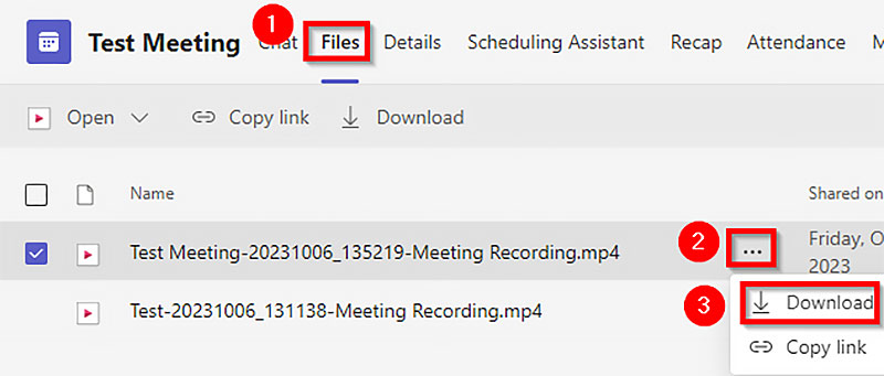 Descargar una grabación de Teams como organizador