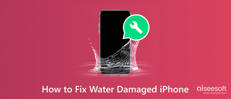 Reparar el iPhone dañado por el agua
