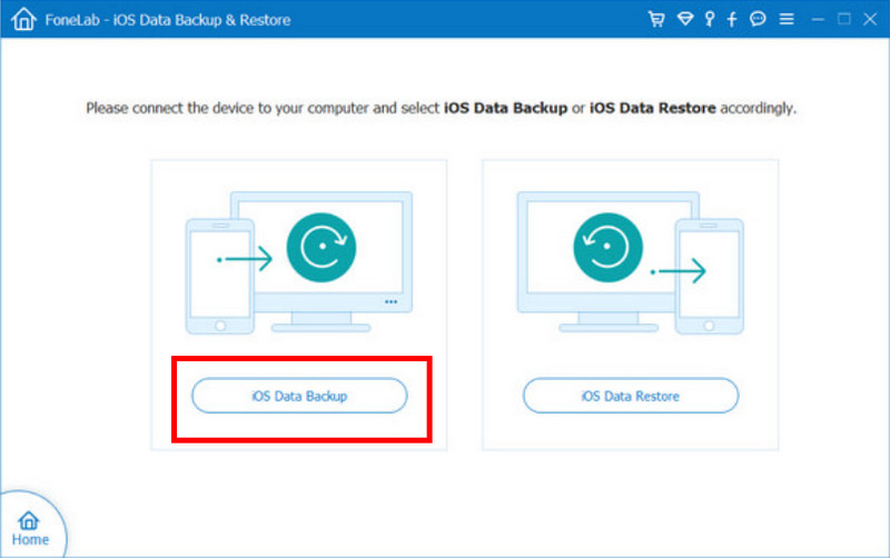 Elija copia de seguridad de datos de iOS