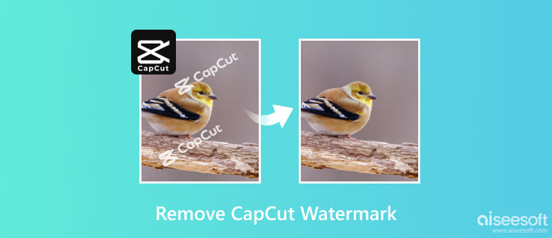 Eliminar la marca de agua CapCut