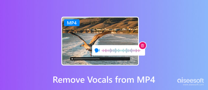 Remove Vocals from MP4