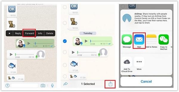 Guardar WhatsApp Audio iPhone