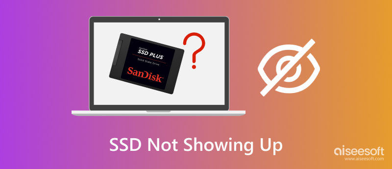SSD no aparece