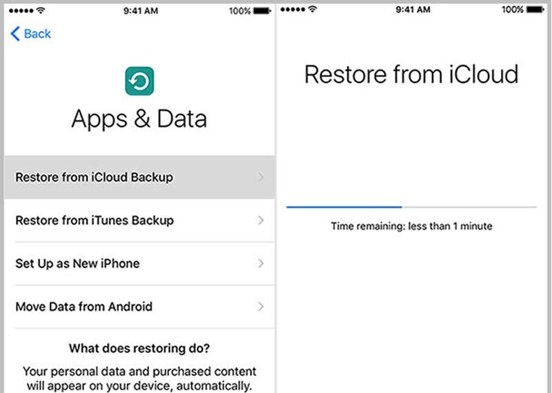 Restaurar desde iCloud Backup