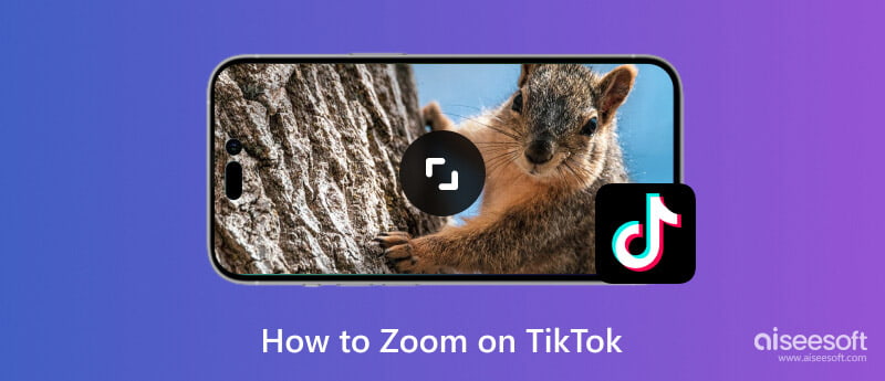 Zoom en TikTok