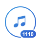 1110 error