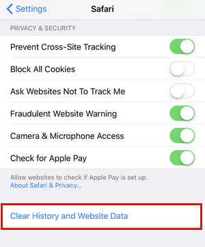 Cómo liberar almacenamiento en el iPhone: borre las cookies y el caché de Safari en el iPhone