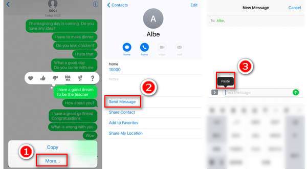 Copiar y pegar mensajes de texto en iPhone