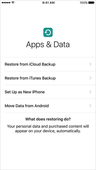 Pantalla de datos de aplicaciones de iPhone