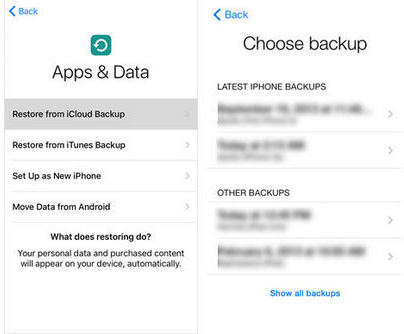 Restaurar desde iCloud Backup