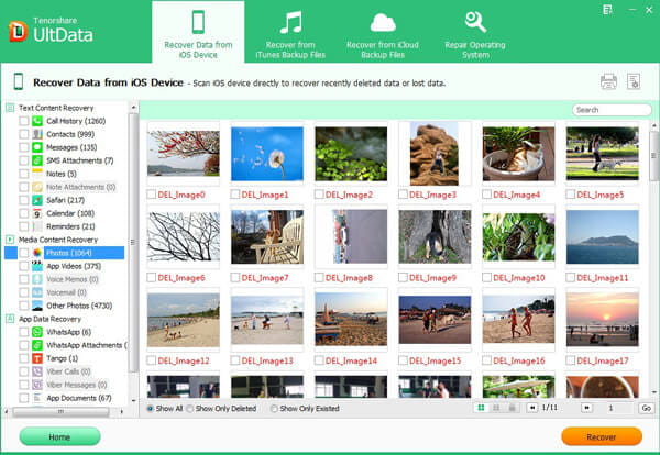 Tenorshare iPhone Data Recovery