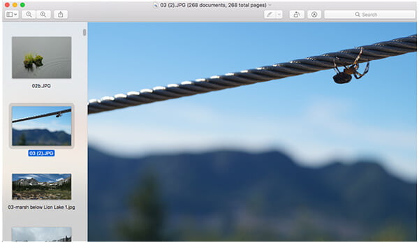Vista previa de todas las imágenes en Mac