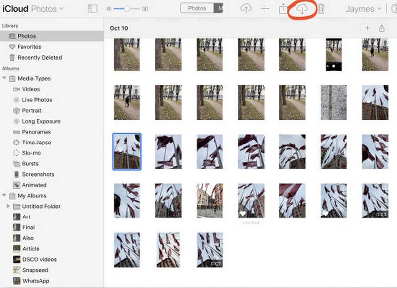 Seleccionar y descargar fotos en iCloud Web