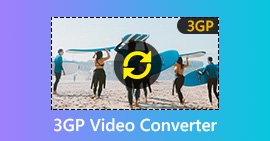 Cómo convertir video a 3GP con 3GP Video Converter