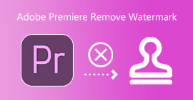 Adobe Premiere Eliminar marcas de agua