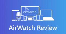 Revisión de AirWatch