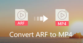 Cómo convertir ARF a MP4/WMV