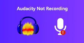 Audacity no graba