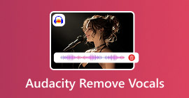 Audacity Eliminar voces