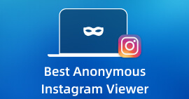 Mejor visor anónimo de Instagram