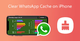 Borrar caché de Whatsapp en iPhone