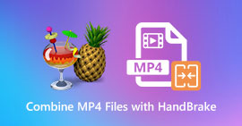 Combinar archivos MP4 HandBrake