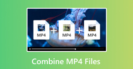 Combinar archivos MP4