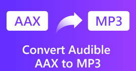 Convierta Audible AAX a MP3