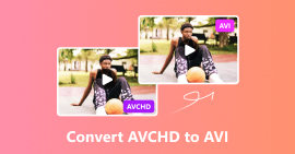 Convertir AVCHD a AVI