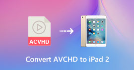 iPad 2 Video Converter