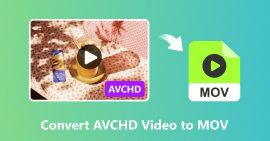Convert Avchd Video To Mov